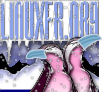 logo_linuxfr_ayo_hiver_masque.png
