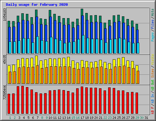 Daily usage for February 2020