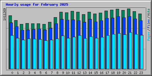 Hourly usage for February 2025