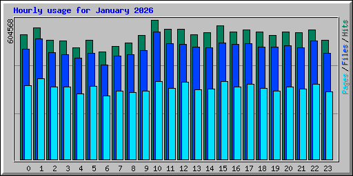 Hourly usage for January 2026