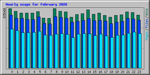 Hourly usage for February 2026